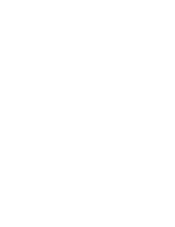 Vicario
